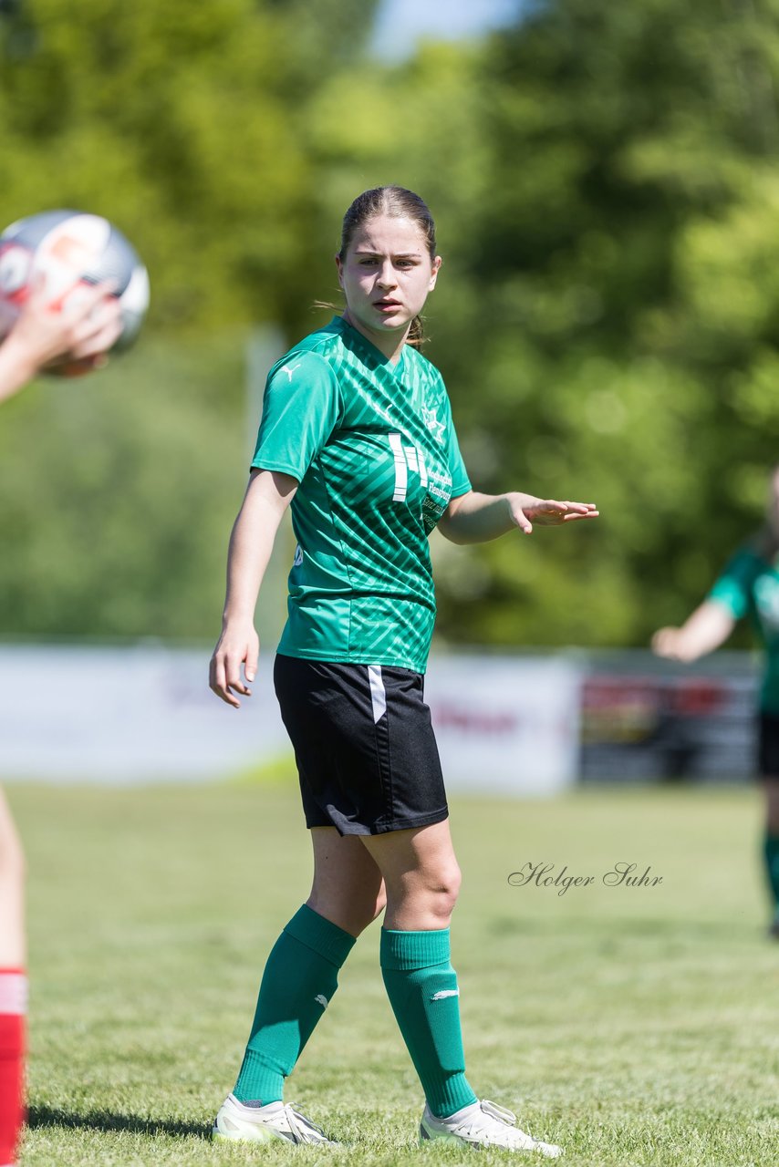 Bild 193 - F SG NieBar - IF Stjernen Flensborg : Ergebnis: 2:0